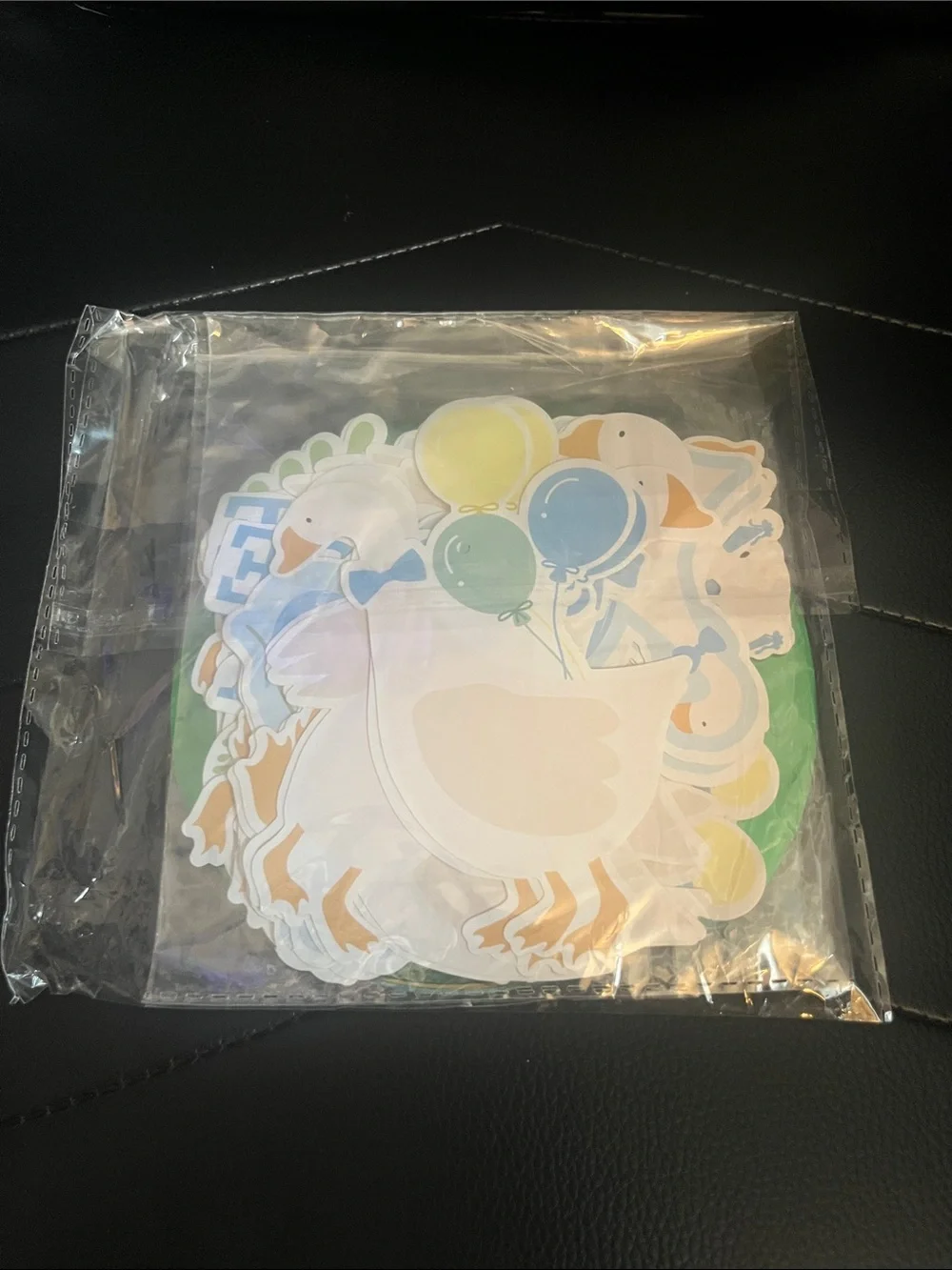 CJ Boy Silly Goose 1st Birthday Decorations
